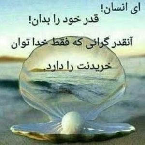 Meet your Posher, Dokhta